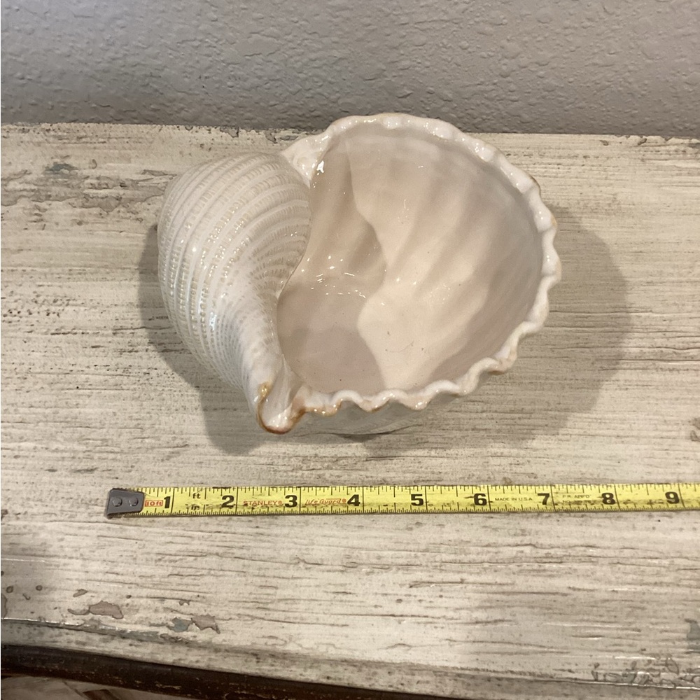 Kohl's Cream Shell-Shaped Decorative Bowl
